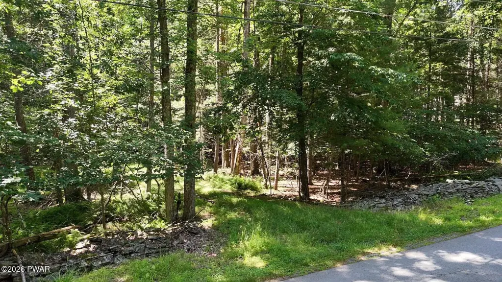 Picture 6