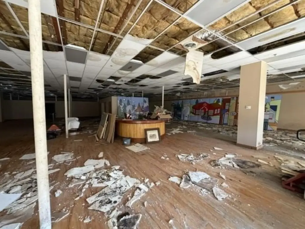 Picture 6