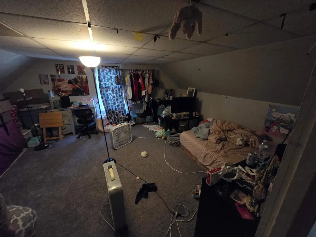 Picture 47