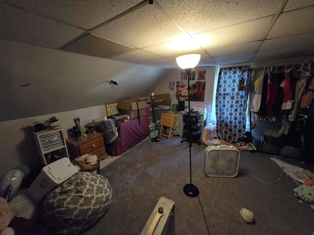 Picture 46
