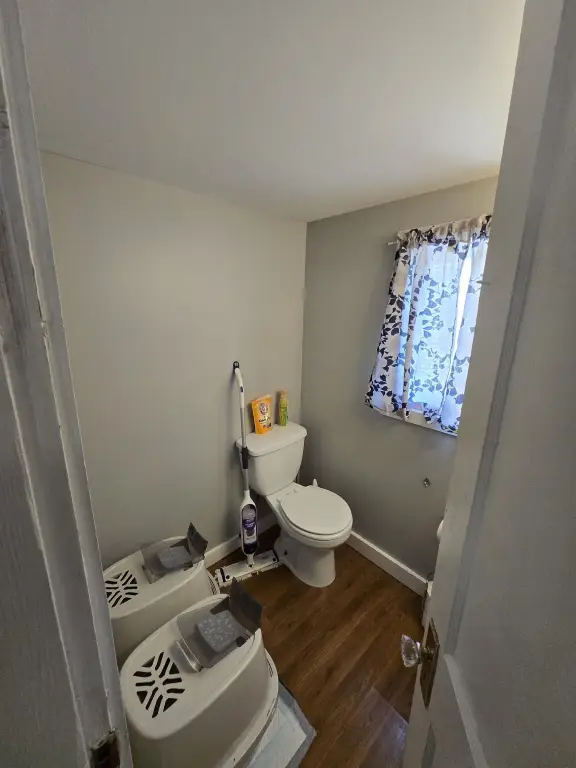 Picture 17