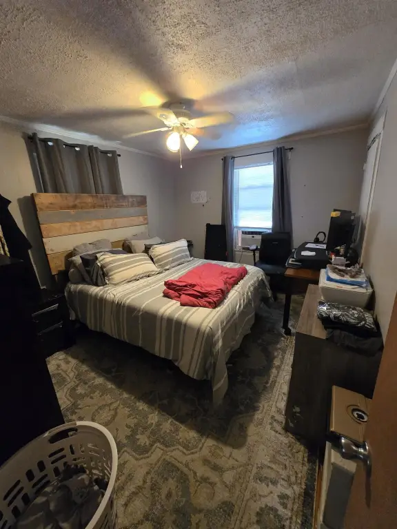 Picture 39