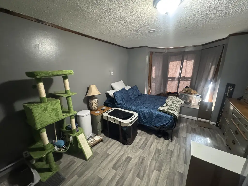Picture 17