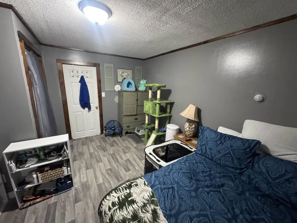 Picture 18