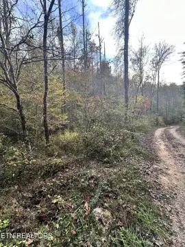 Sevierville Land: Mountain Living Awaits