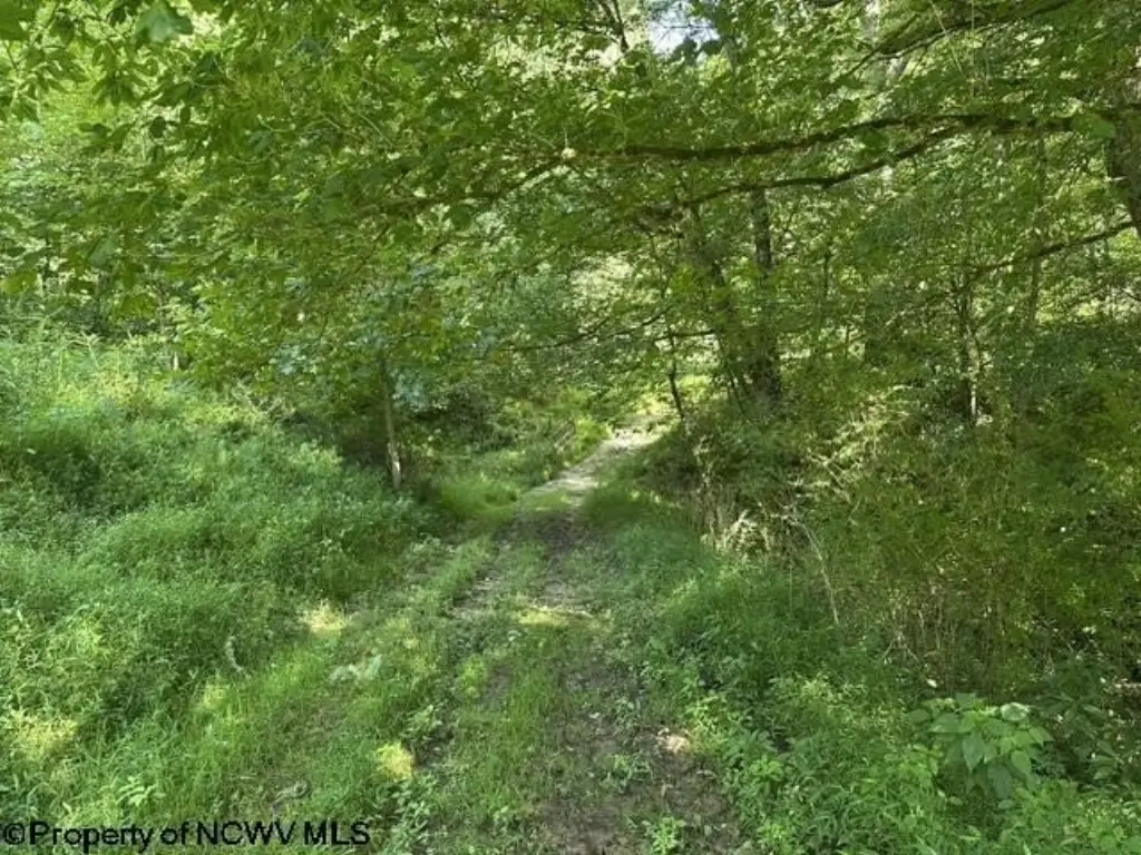 Picture 9