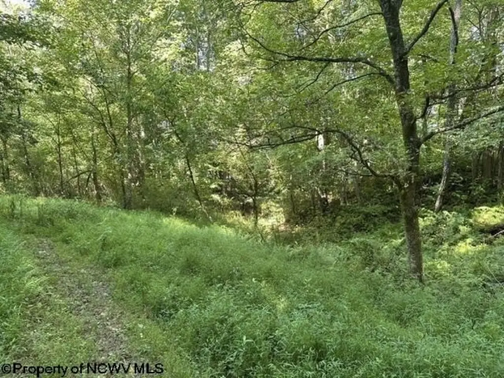 Picture 3