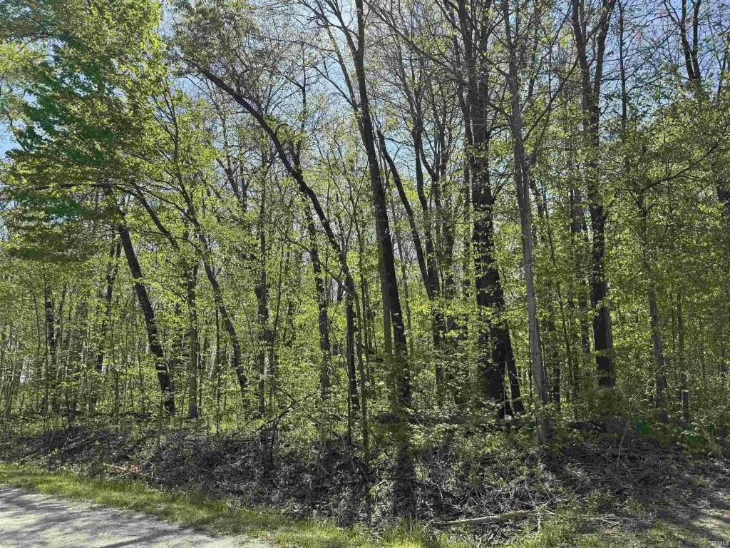 Picture 23