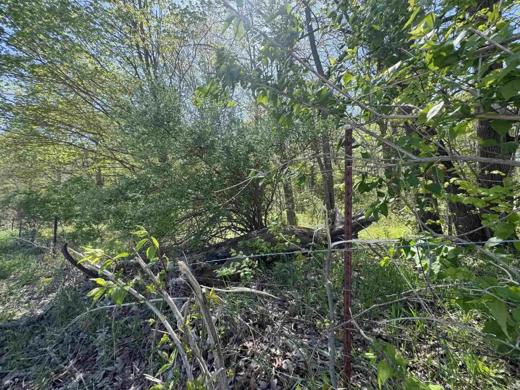 Picture 25