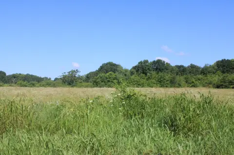 West Plains Commercial Land Available