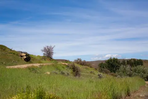 Agricultural Land with Water Rights
