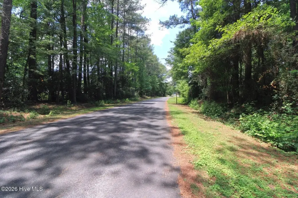 Picture 30