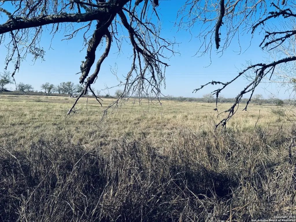 Picture 27