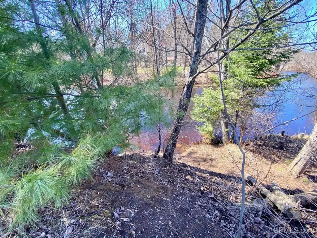 Picture 4