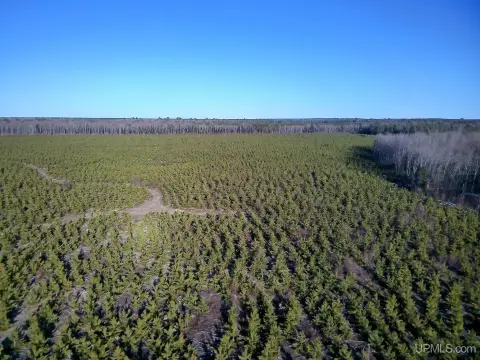 Au Train Vacant Land Parcel