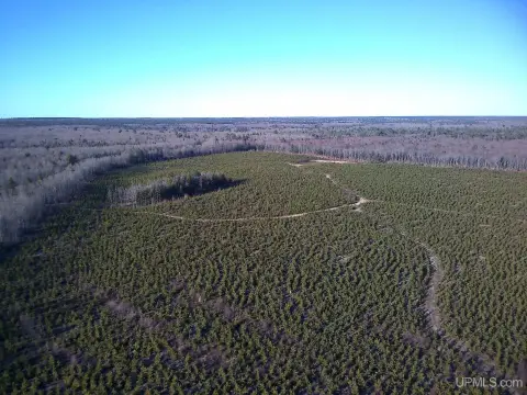 Au Train Vacant Land Parcel