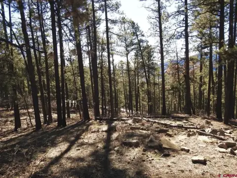 Acre Mountain Lot in Bayfield