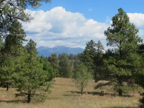Wooded Lot with Mountain Views