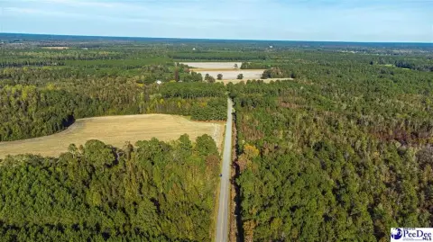 Cades, SC Land For Sale
