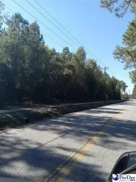 Undeveloped Land in Florence, SC
