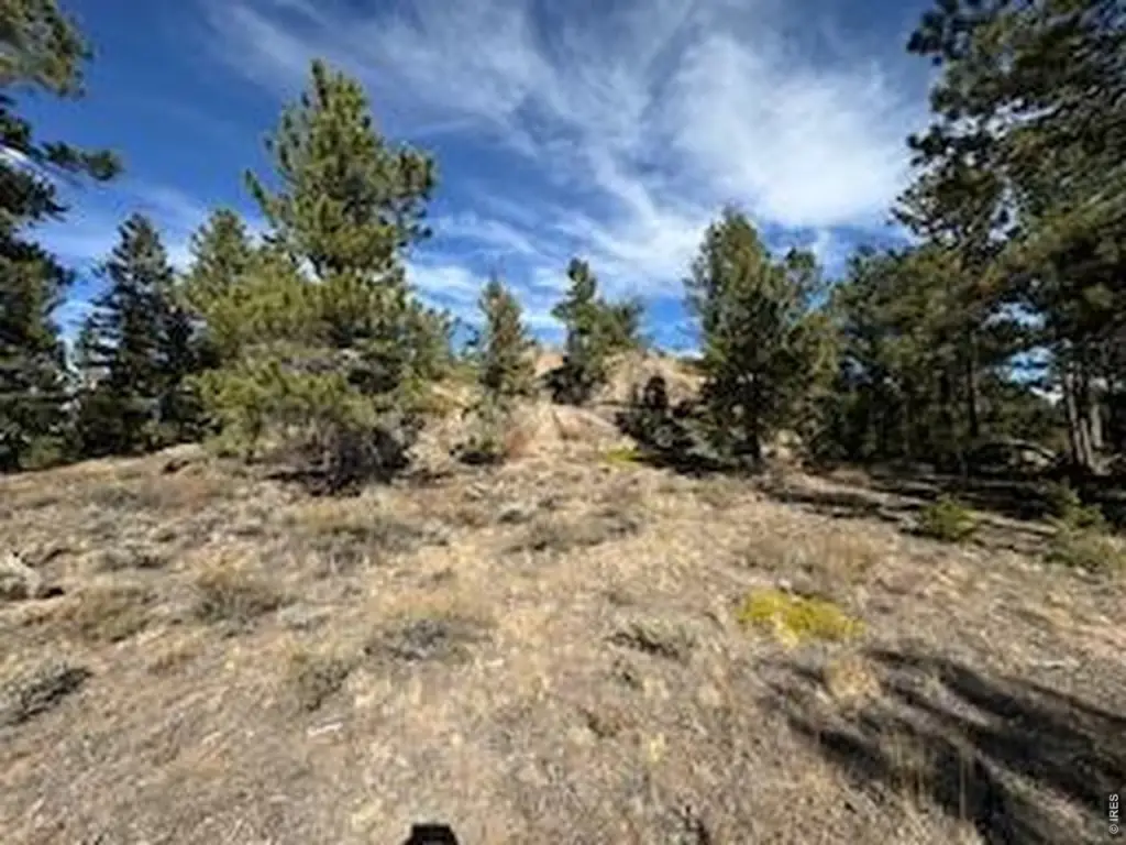 Picture 23