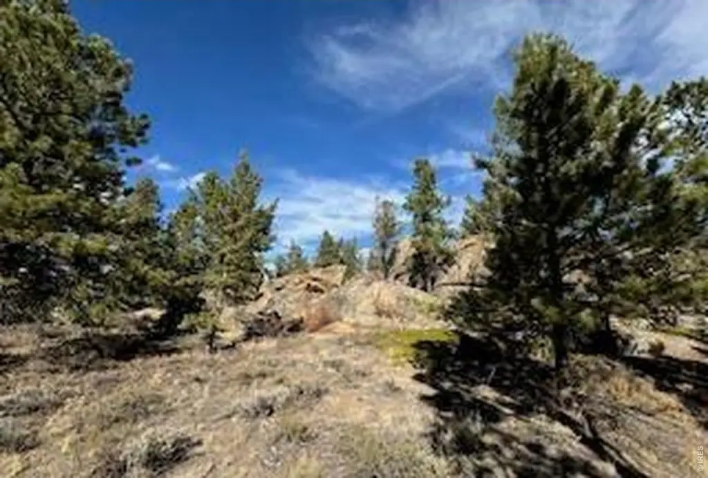 Picture 7