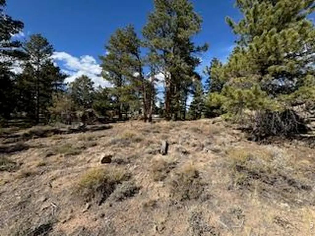 Picture 22