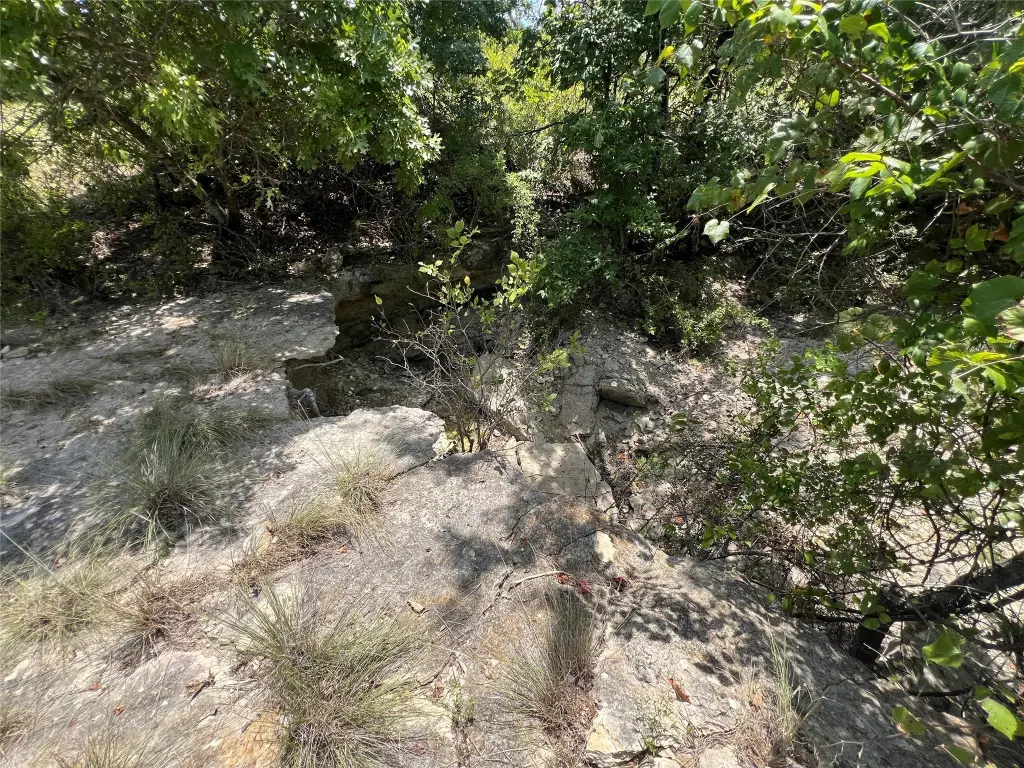 Picture 30