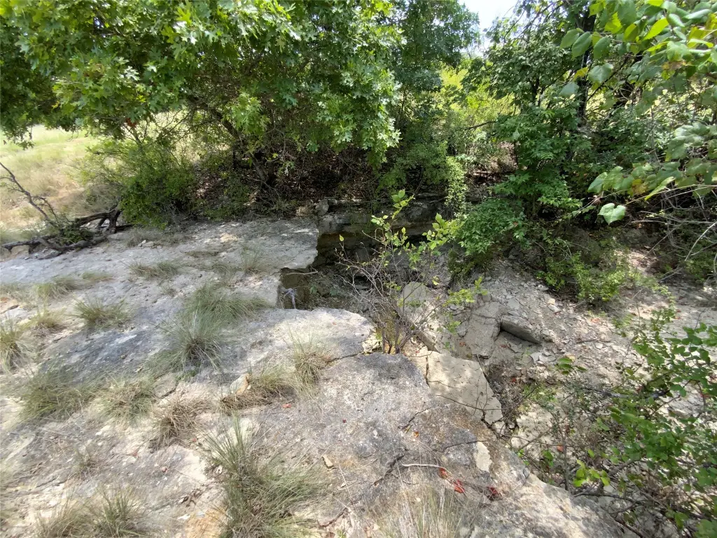 Picture 25