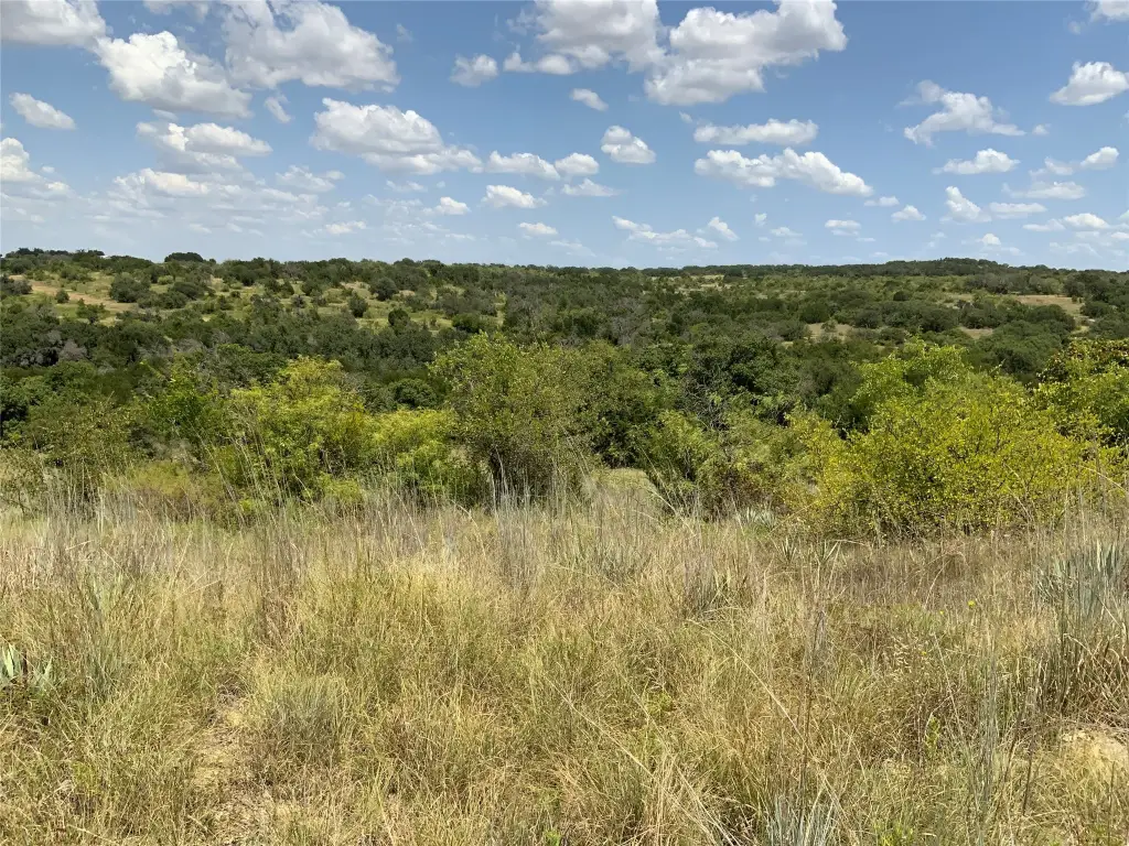 Picture 28