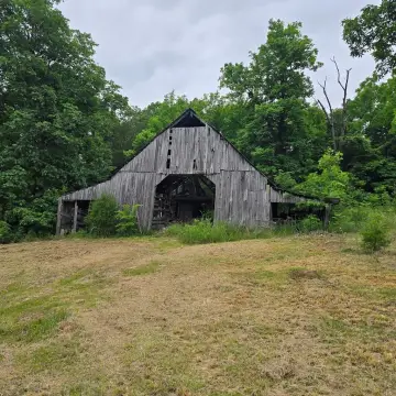 Livingston Land with Fruit Trees