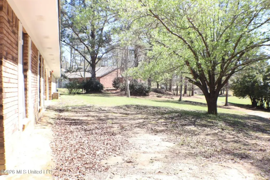 Picture 41