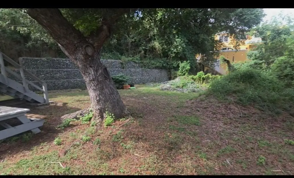 Picture 10