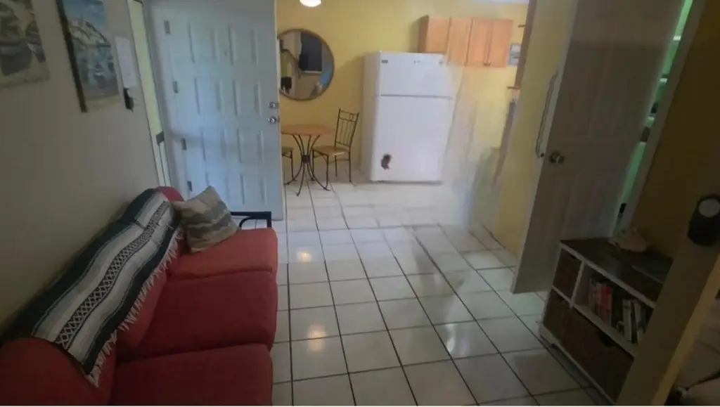 Picture 6