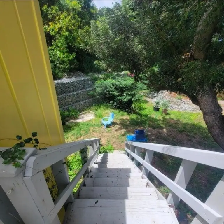 Picture 19