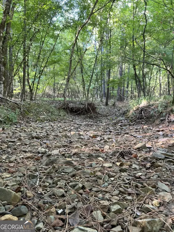Picture 25