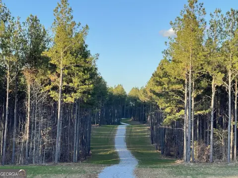 Hunting Land with Creek Frontage