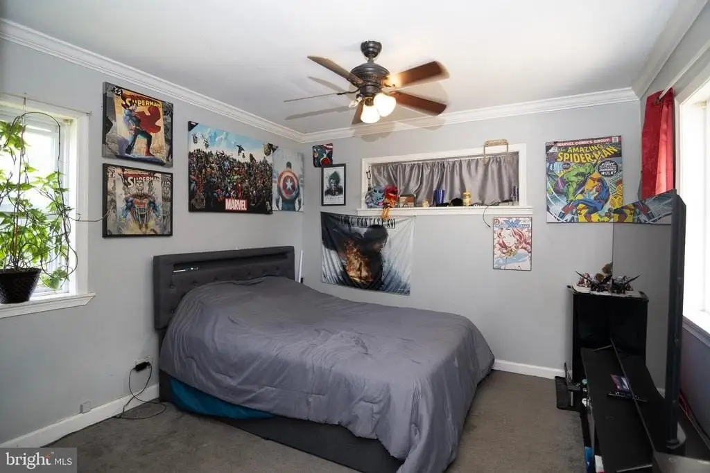 Picture 17