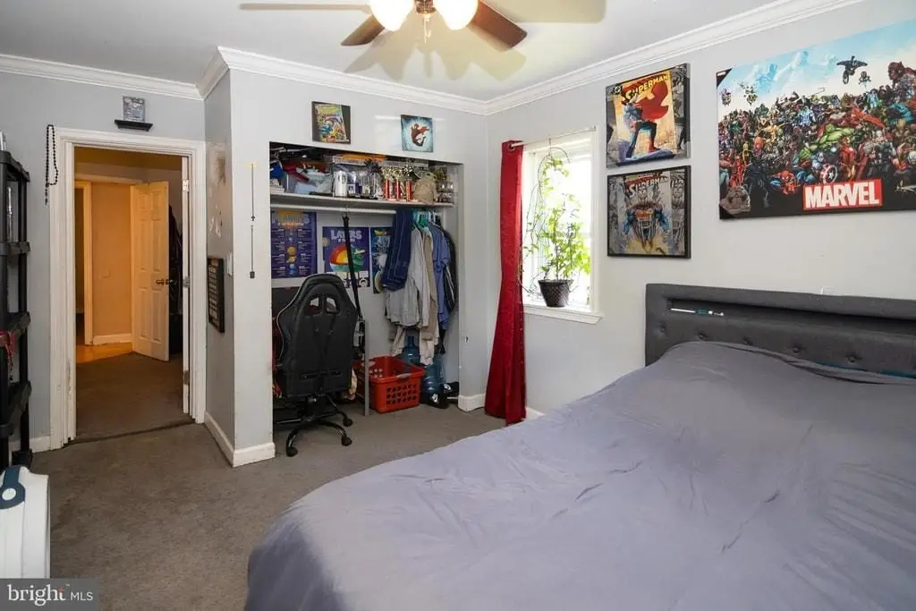 Picture 18