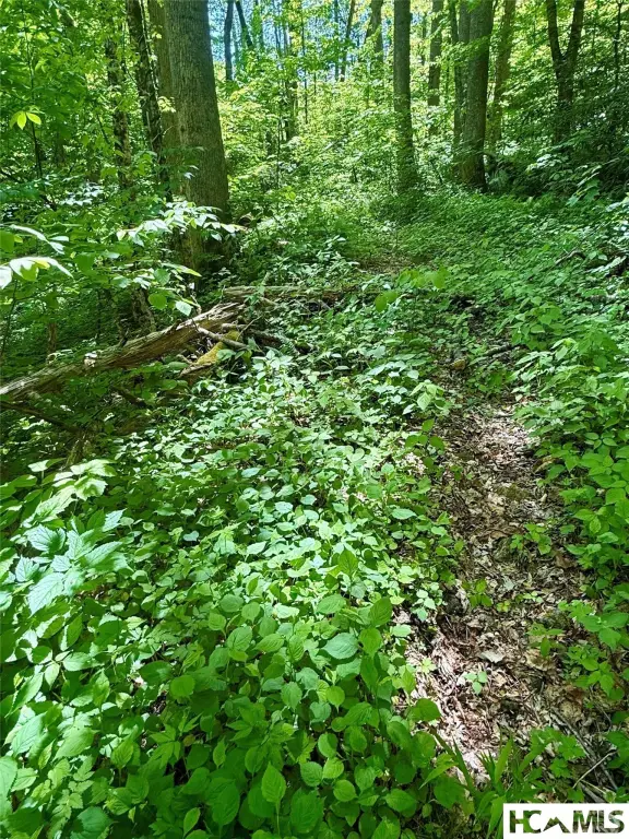 Picture 5