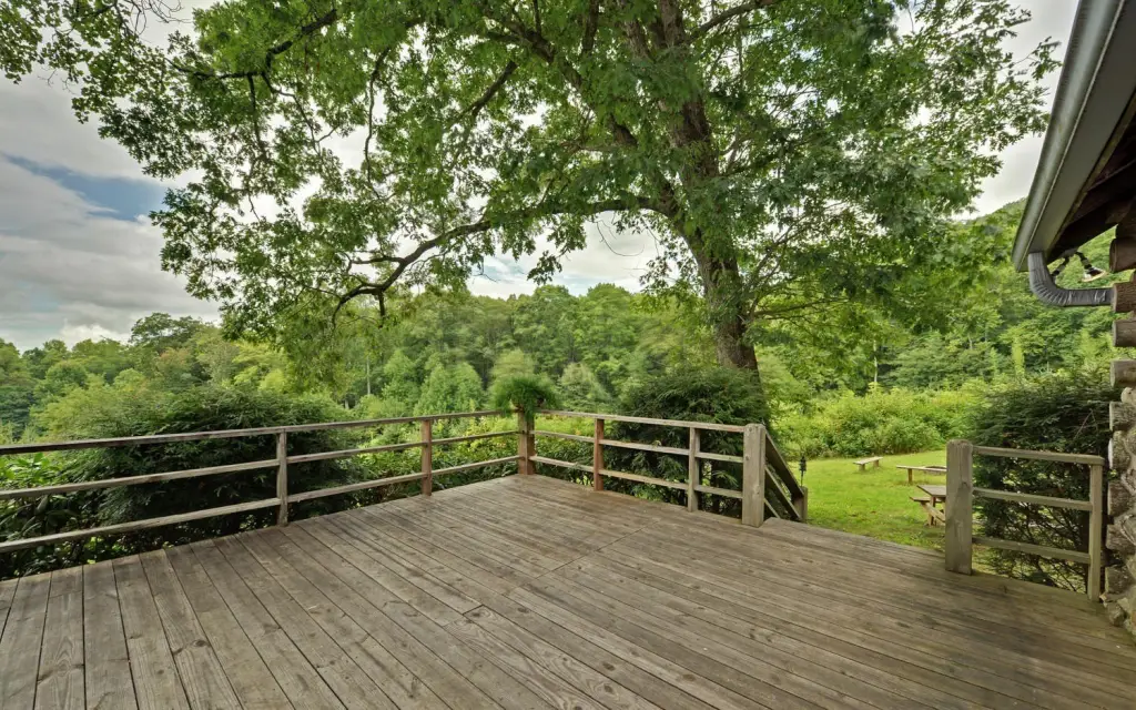 Picture 4