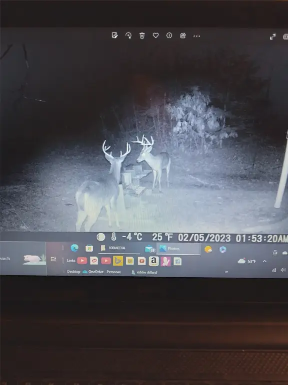 Picture 12