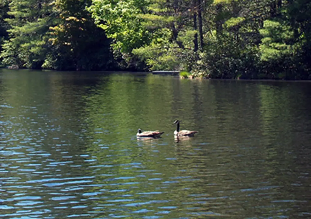 Picture 7