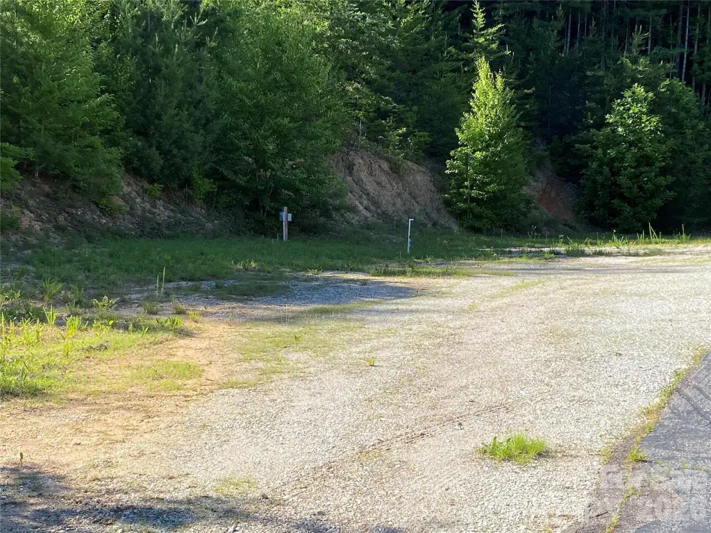 Picture 11