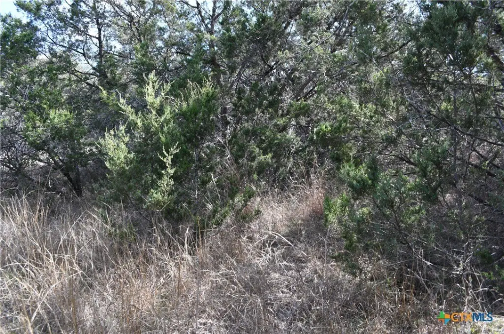 Picture 14