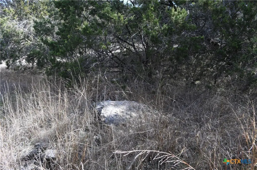 Picture 15