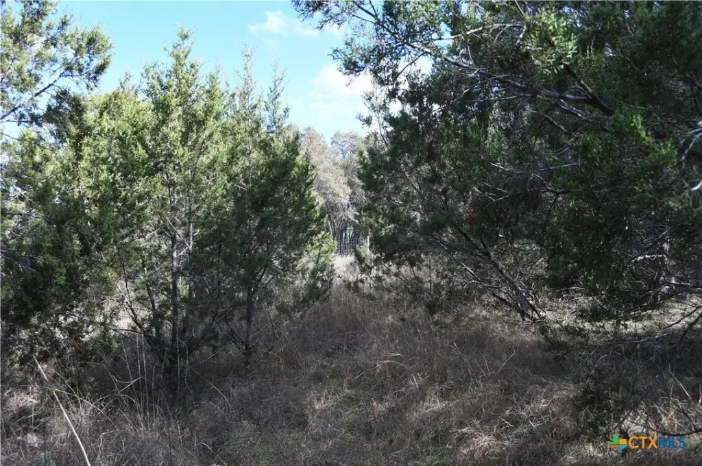 Picture 11
