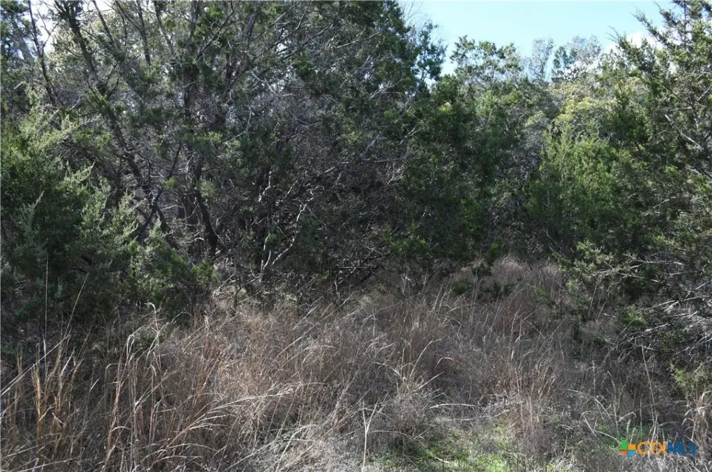 Picture 16