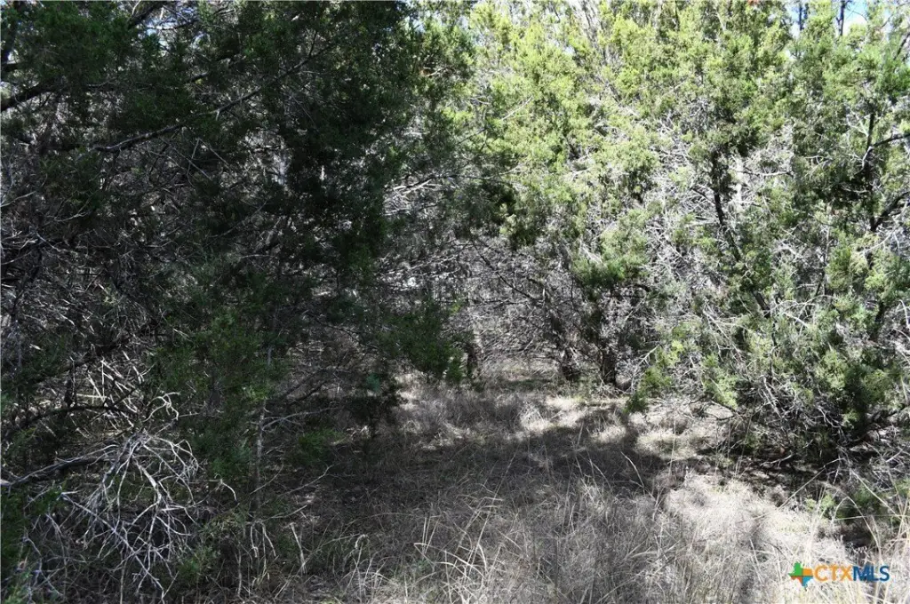 Picture 10
