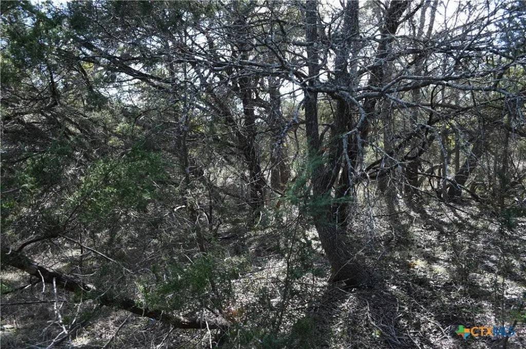 Picture 12